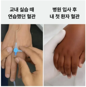 간호 실무: 연습과 실제 적용