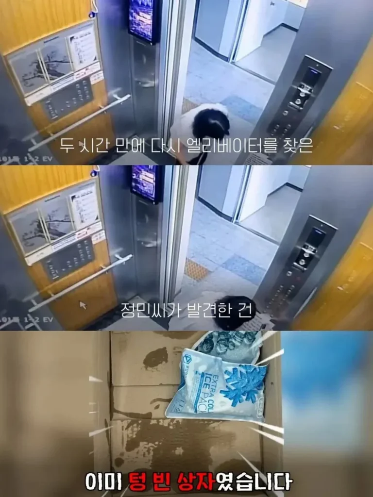 "100일 떡, 엘리베이터에 두었더니 이웃들의 반응이 놀랍네요"