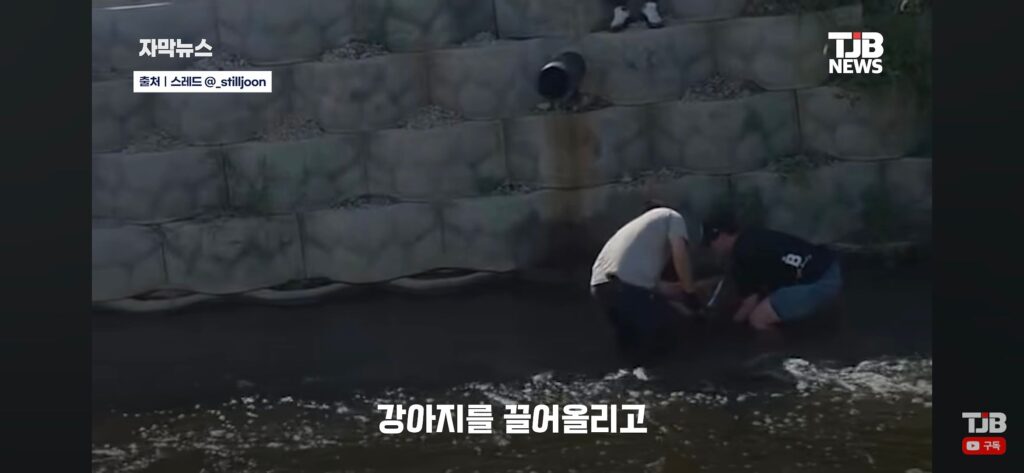 "몇 시간째 움직이지 않아…" 수로에 빠져 있던 40kg 리트리버