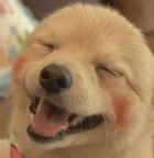 미군과 한국군, 야전 급식 훈련서 밥 나누는 모습.jpg