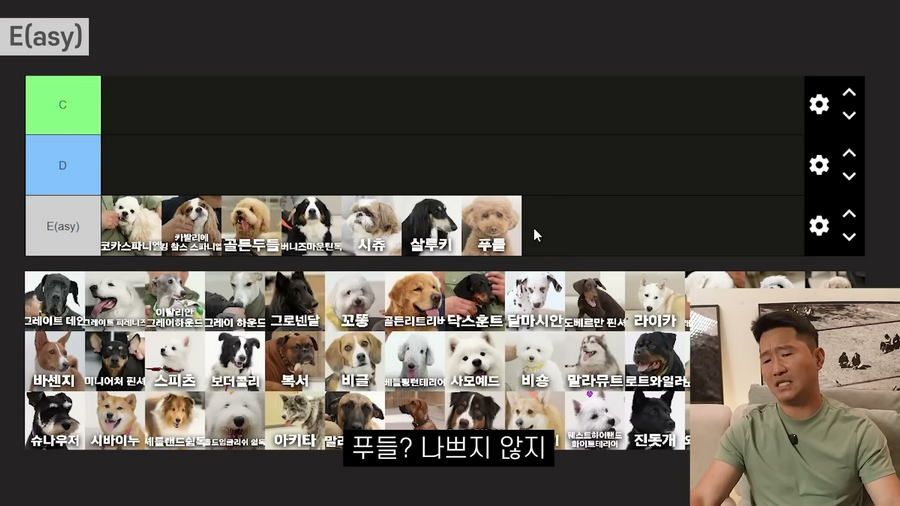 강형욱이 선정한 견종 난이도 티어리스트.jpg