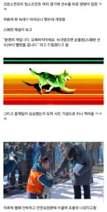 동계올림픽 역대급 관중 난입 사태
