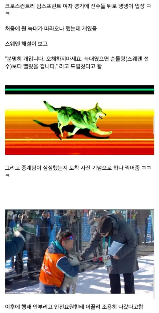 동계올림픽 역대급 관중 난입 사태