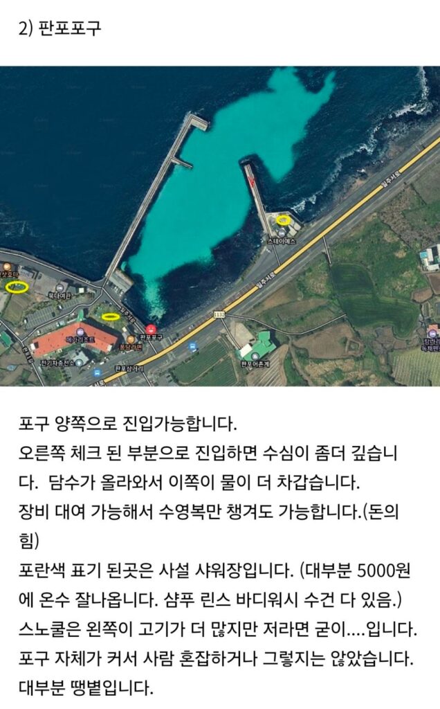 제주에서 수영하기 좋은 장소 공유