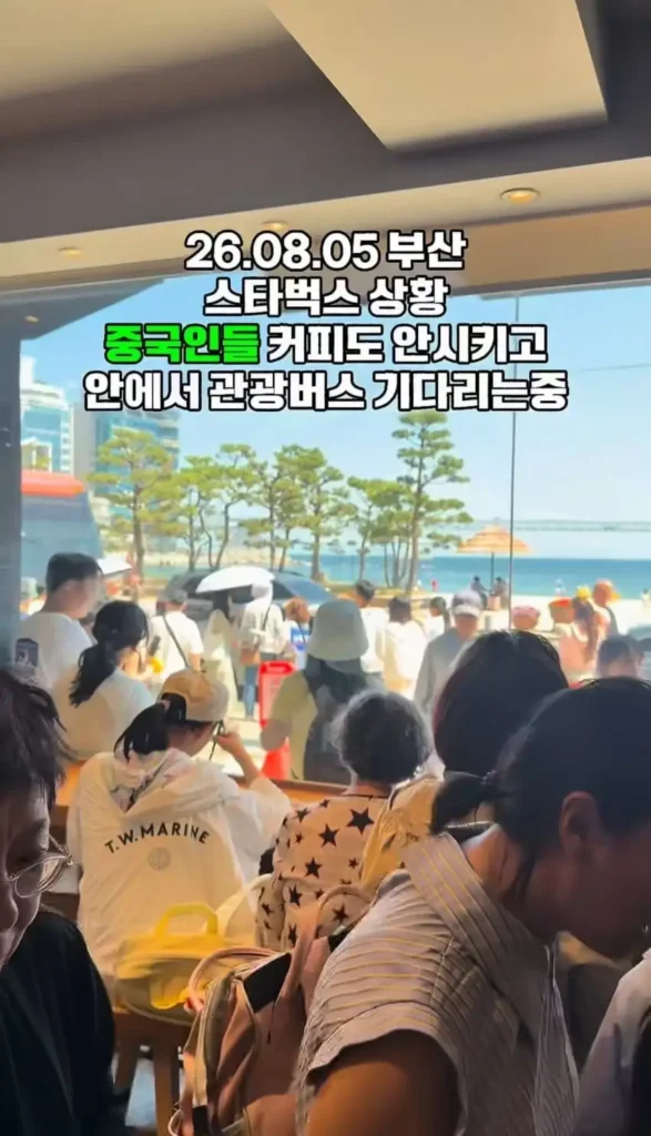 부산 스타벅스 최근 소식 ㅋㅋㅋ
