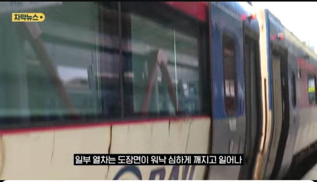 일본인, "북한인 줄 알았다"