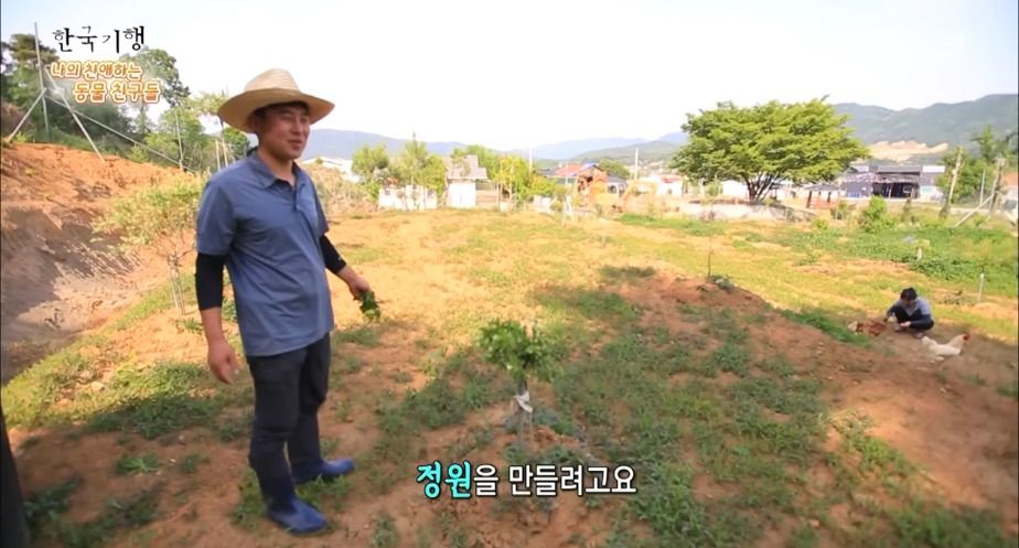 토종닭 2천마리 키우다 정든 사연