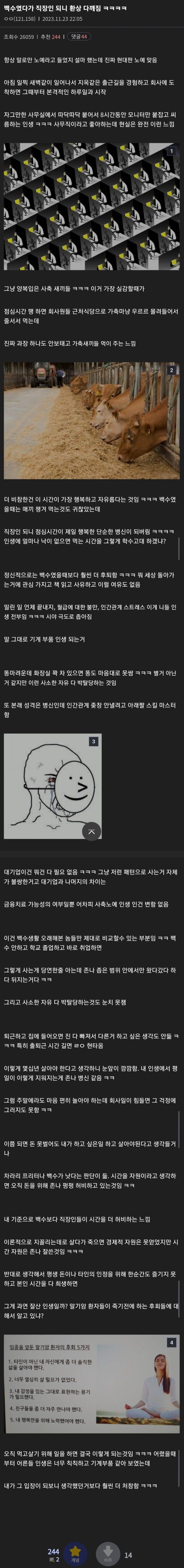 백수 탈출 후 직장인이 되니 환상이 사라졌다는 경험담