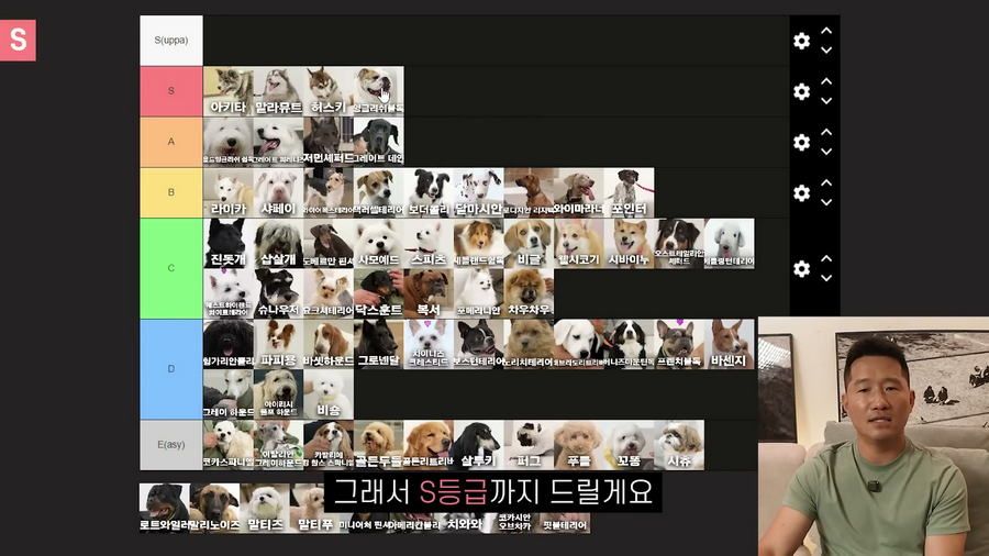 강형욱이 선정한 견종 난이도 티어리스트.jpg