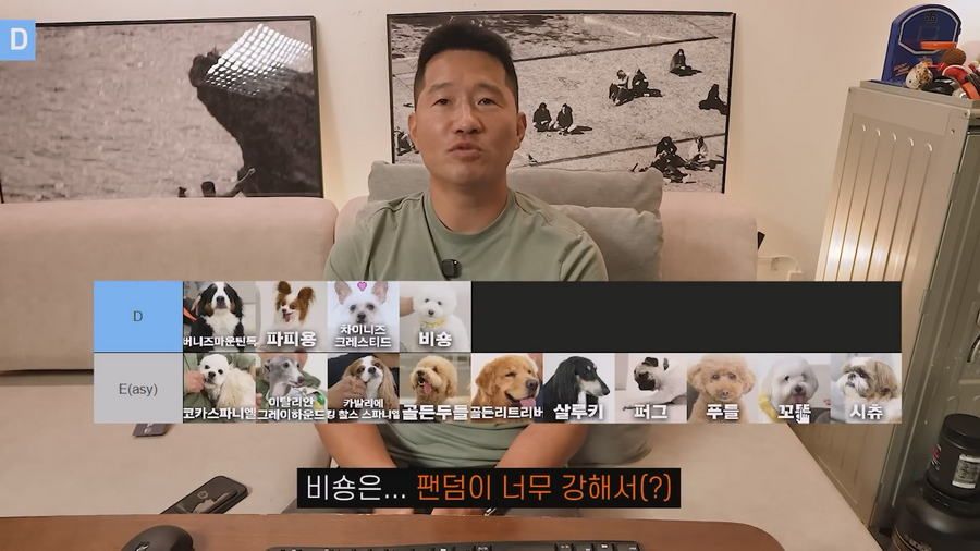 강형욱이 선정한 견종 난이도 티어리스트.jpg