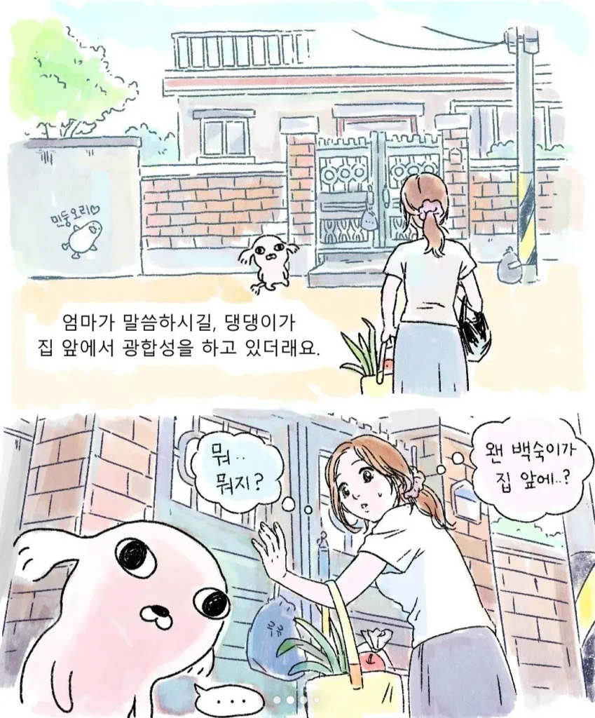뜻밖의 방문객, 낯선 강아지.toon