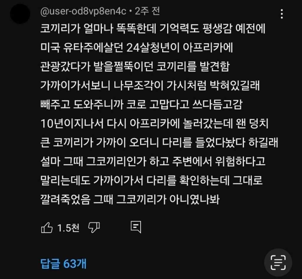 코끼리는 평생 기억력을 가질 만큼 똑똑합니다