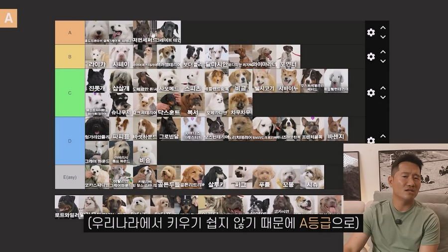 강형욱이 선정한 견종 난이도 티어리스트.jpg