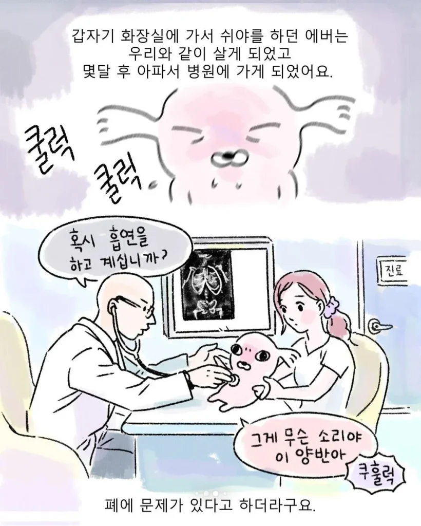뜻밖의 방문객, 낯선 강아지.toon