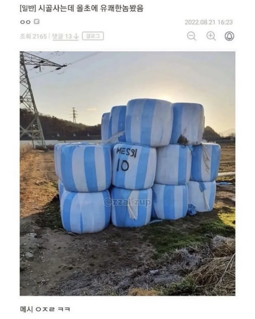 도서관에서 받은 쪽지, 이게 대체 뭘까요
