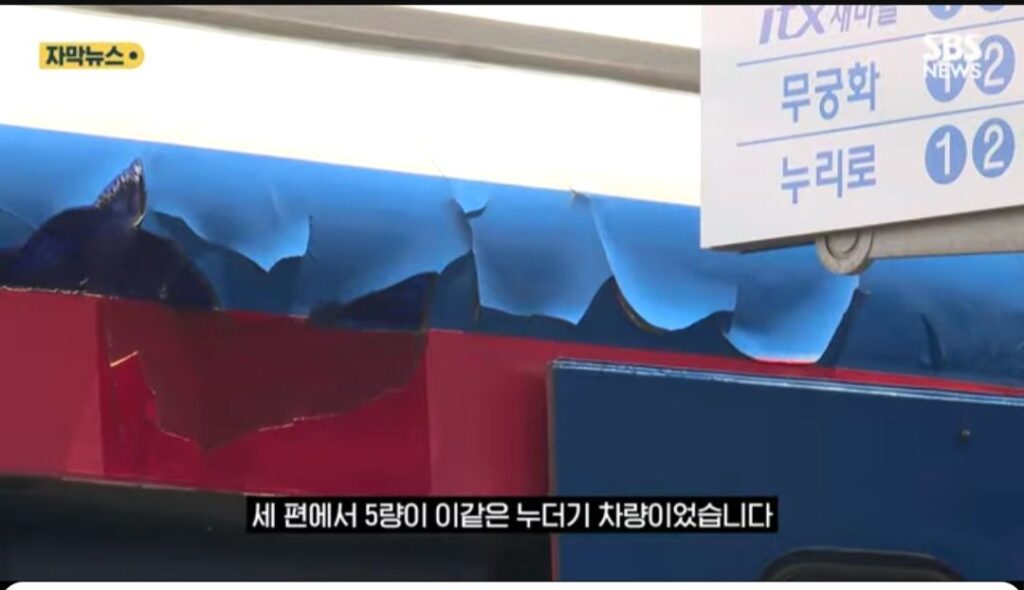 일본인, "북한인 줄 알았다"