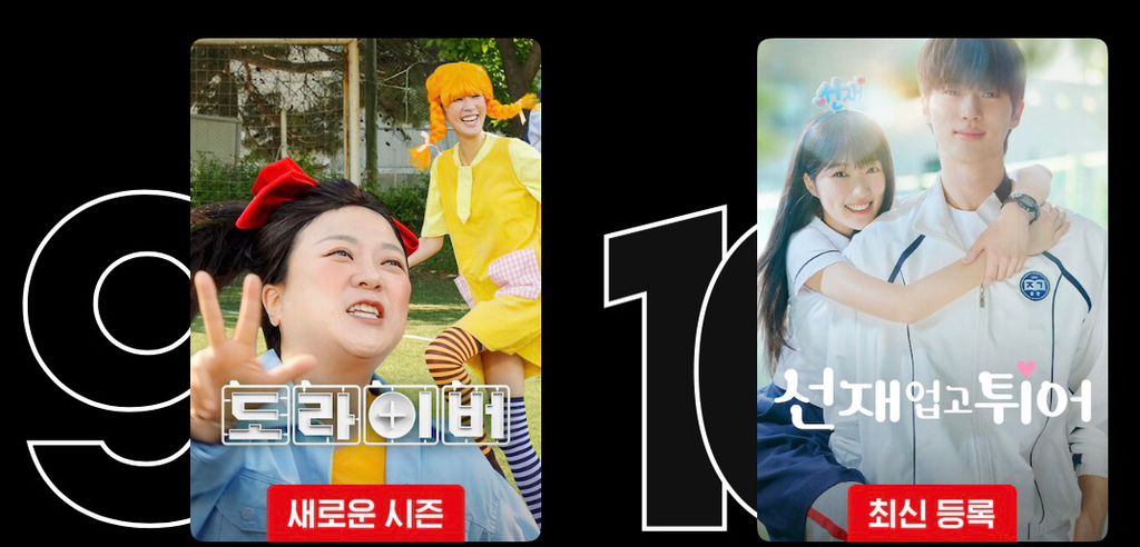 넷플릭스 글로벌 1위, 한국 시장의 난관