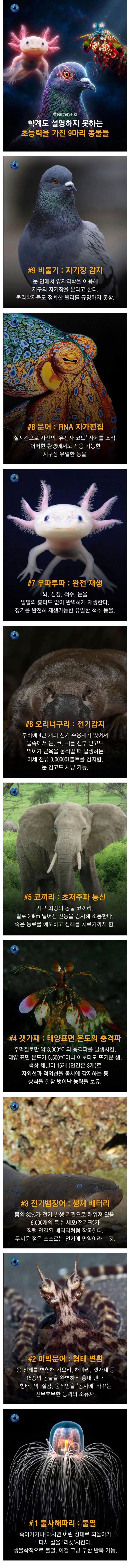 설명하기 힘든 초능력을 지닌 동물 9가지