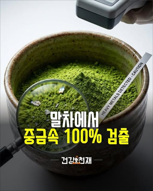말차에서 중금속 100% 검출
