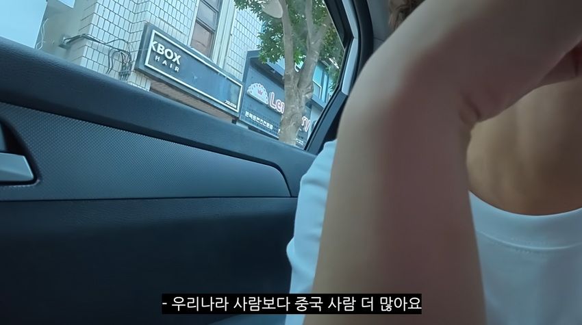 제주도 시내거리의 충격적인 근황.jpg