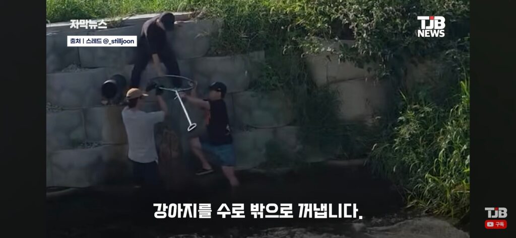 "몇 시간째 움직이지 않아…" 수로에 빠져 있던 40kg 리트리버