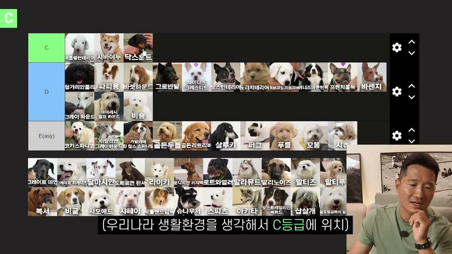 강형욱이 선정한 견종 난이도 티어리스트.jpg