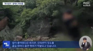 계곡서 담배 피우는 이유.