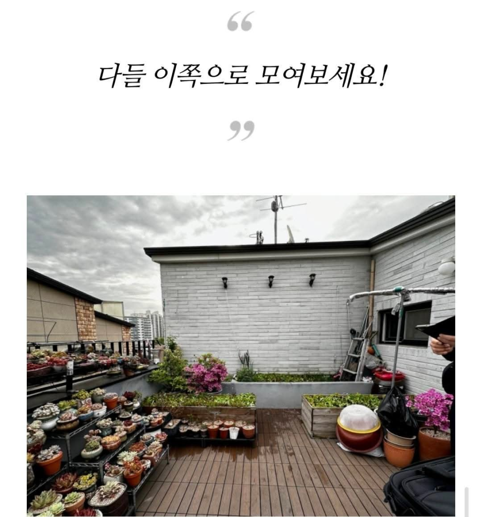 보라색 조명을 쓴다고 경찰에 신고당한 집