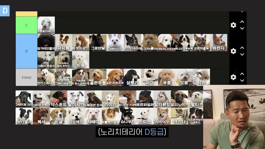 강형욱이 선정한 견종 난이도 티어리스트.jpg