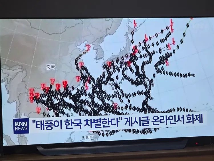 3년간 태풍 데이터라고 하는데…