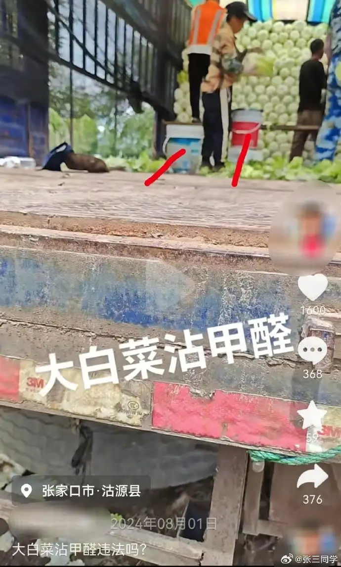 현재 중국에서 포르말린 배추 사건이 폭로됨