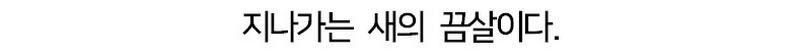 풍력발전기 새떼 충돌을 70%나 감소시킨 방법.jpg