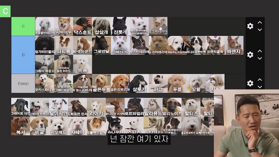 강형욱이 선정한 견종 난이도 티어리스트.jpg