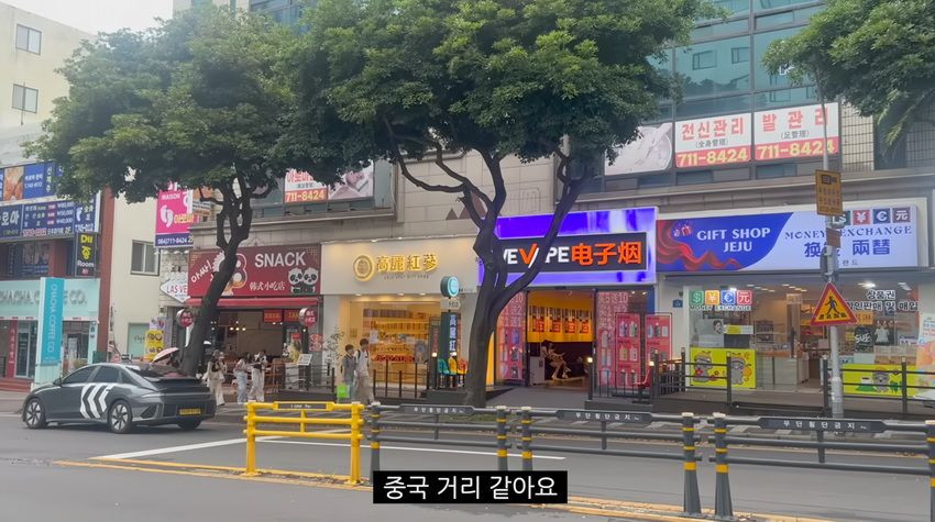 제주도 시내거리의 충격적인 근황.jpg