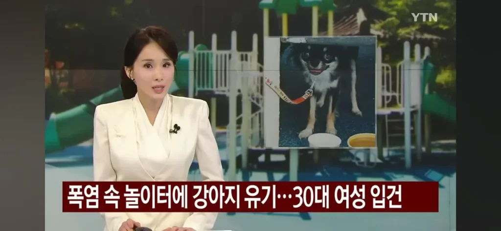 강아지 놀이터에 버린 여성, 폭염 속 입건