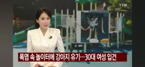 강아지 놀이터에 버린 여성, 폭염 속 입건