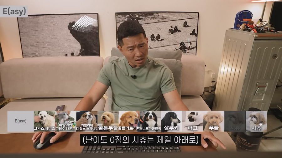 강형욱이 선정한 견종 난이도 티어리스트.jpg