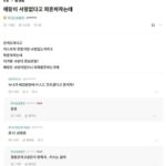 사랑이 없다는 이유로 파혼을 요구받았습니다