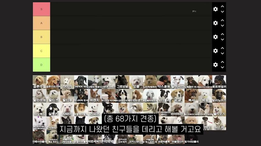 강형욱이 선정한 견종 난이도 티어리스트.jpg