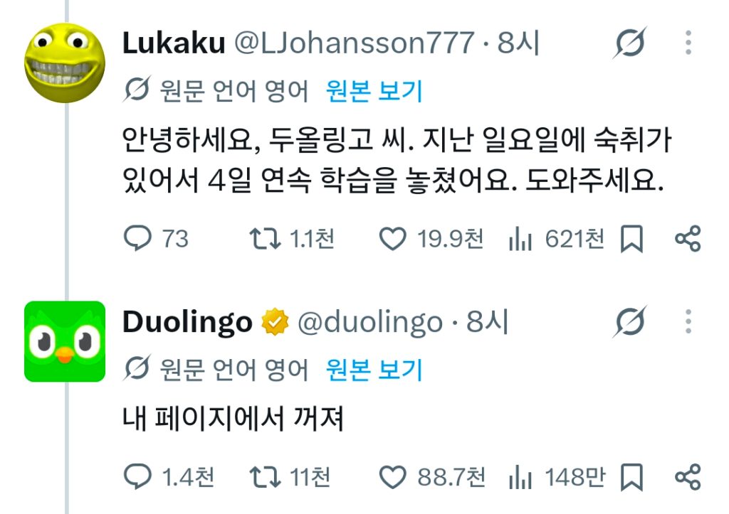 듀오링고 감동 근황