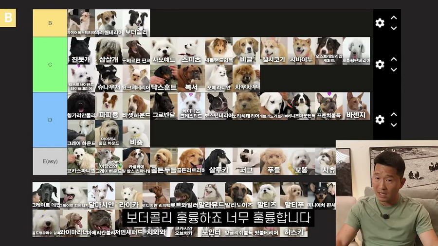 강형욱이 선정한 견종 난이도 티어리스트.jpg