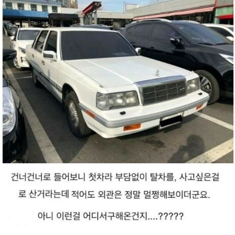그랜저 신입, 회사에 가져와 화제