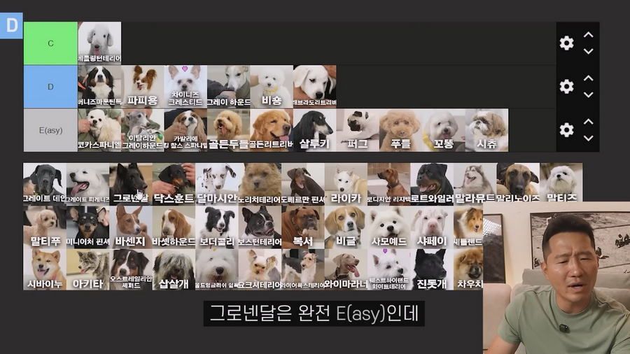강형욱이 선정한 견종 난이도 티어리스트.jpg