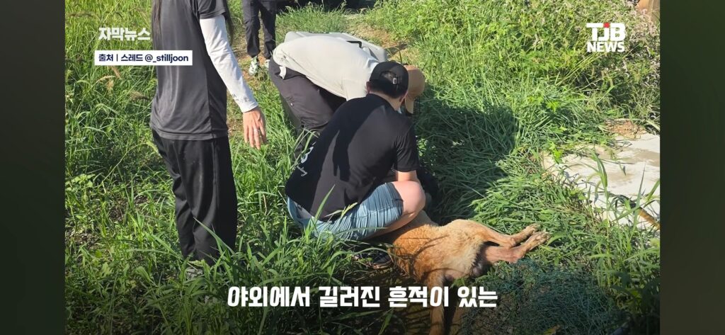 "몇 시간째 움직이지 않아…" 수로에 빠져 있던 40kg 리트리버