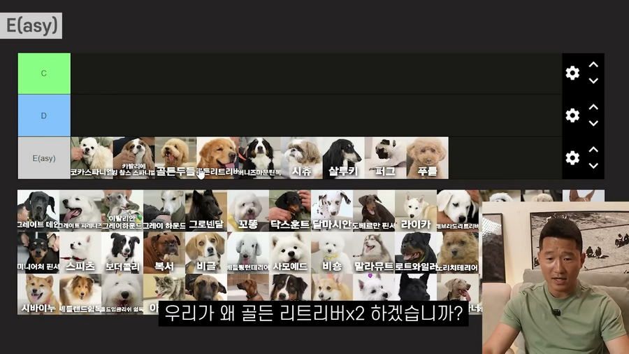 강형욱이 선정한 견종 난이도 티어리스트.jpg
