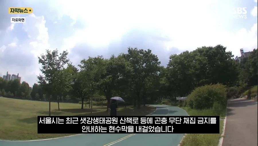 최근 한강공원에서 곤충 무단 채집 현수막을 건 이유.news