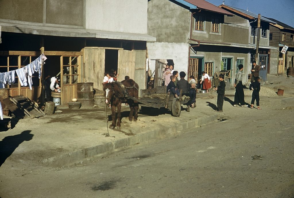 1955년 서울 거리 풍경 (사진)