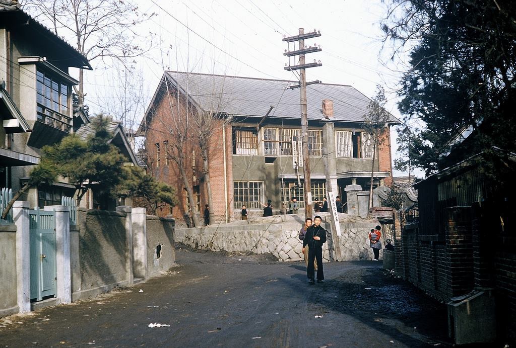 1955년 서울 거리 풍경 (사진)