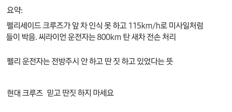 현대 펠리세이드, BYD 씨라이언과 크루즈 주행 중 추돌 사고.
