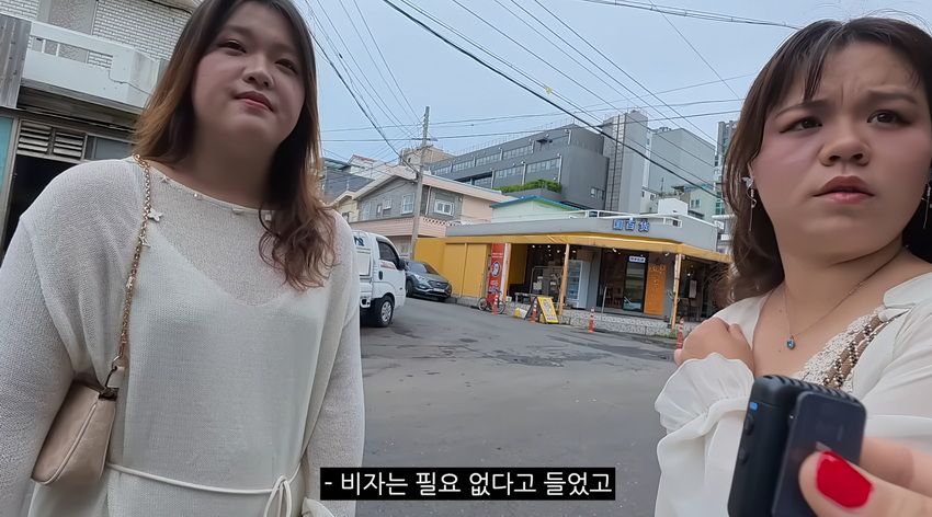 제주도 시내거리의 충격적인 근황.jpg